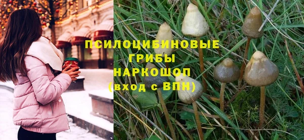 мдпв Ивангород