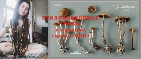 2c-b Майский