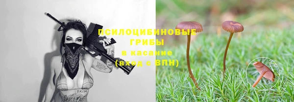 2c-b Майский
