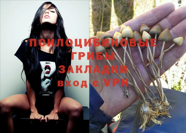 стафф Магас
