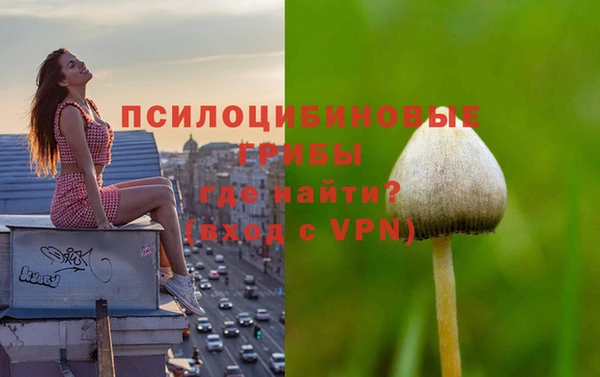 стафф Магас